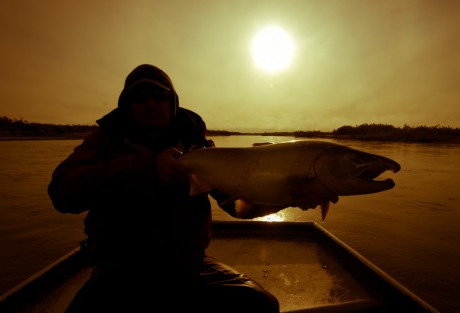 Cool Coho Hero Shot