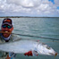 Thumbnail image for Andros Trip Report from Gabe Nyblad