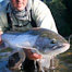 Thumbnail image for Top Steelhead Fishing Posts of 2011