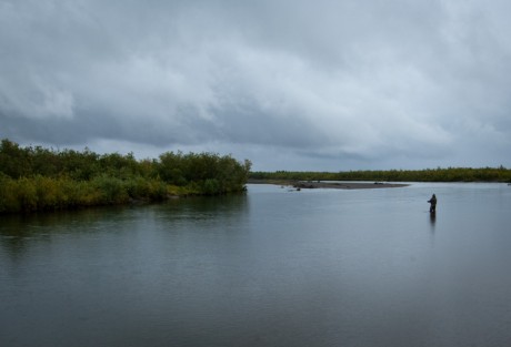 Airflo Skagit Intermediate Airflo Skagit Intermediate