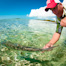 Thumbnail image for Bonefishing 101 Reminder