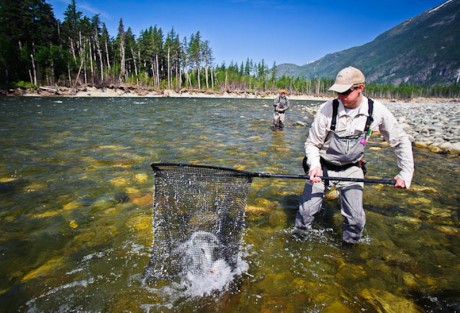 Landing Steelhead