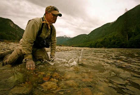Steelhead Release