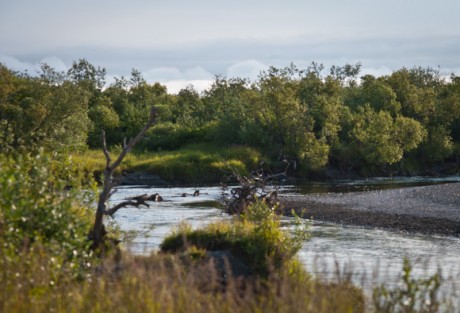 Side Channel in Alaska