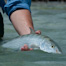 Thumbnail image for Three Good Articles