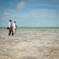 Thumbnail image for Lots of Wading on South Andros
