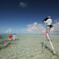 Thumbnail image for Catch Magazine at Andros South