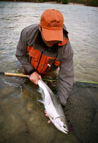 Steelhead Pictures