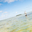 Thumbnail image for Fishing Tips from Gink and Gasoline