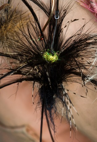 Black Flies