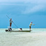 Thumbnail image for Nice Shot.