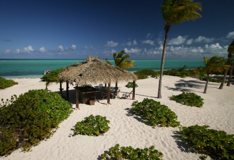 Tiki Hut