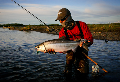 Chum Hero Shot Chum Hero Shot