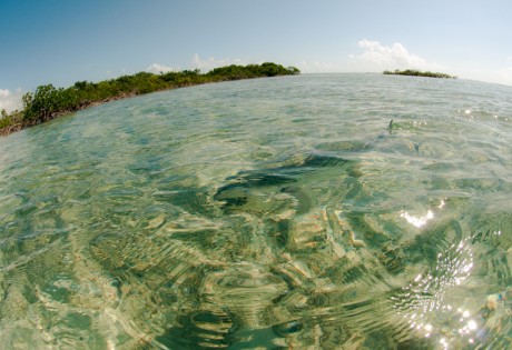 Bonefish by Louis Cahill Photography