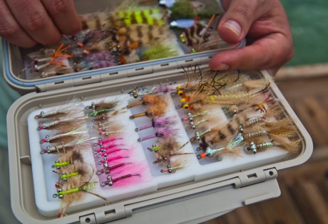 Bahamas Bonefishing Gallery