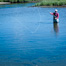 Thumbnail image for Pacific Salmon Feeding in Fresh Water?