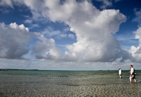 Wading Bonefish