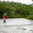 Thumbnail image for A Fly in the Air Catches No Fish.