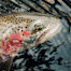 Thumbnail image for Some Resource Pages You Should Check Out