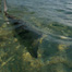 Thumbnail image for Release