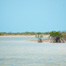 Thumbnail image for 5 Ways to Simplify Your Fishing Gear