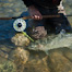 Thumbnail image for Best Steelhead Fishing Posts of 2012