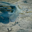 Thumbnail image for An Experience in Bonefish Movement