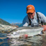 Thumbnail image for Tom Larimer’s Steelhead Rig, 2013 Edition