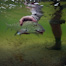 Thumbnail image for Little Bonefish, Cool Picture