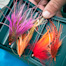 Thumbnail image for Want to Write a Guest Post for Us?