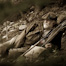 Thumbnail image for Taking It All In