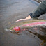 Thumbnail image for Fly Fishing Sites – Our Top Ten Referrers