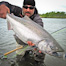 Thumbnail image for Top Posts of 2010