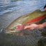 Thumbnail image for In Water Hero Shots
