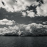 Thumbnail image for Mangroves – A Different Look