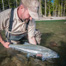 Thumbnail image for 6 Ways to Catch More Steelhead