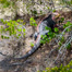 Thumbnail image for Andros Island Iguana