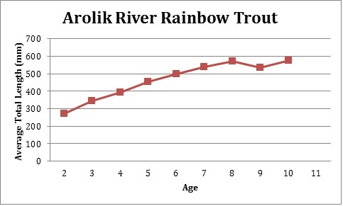 western alaska trout lifecycles rainbow size chart