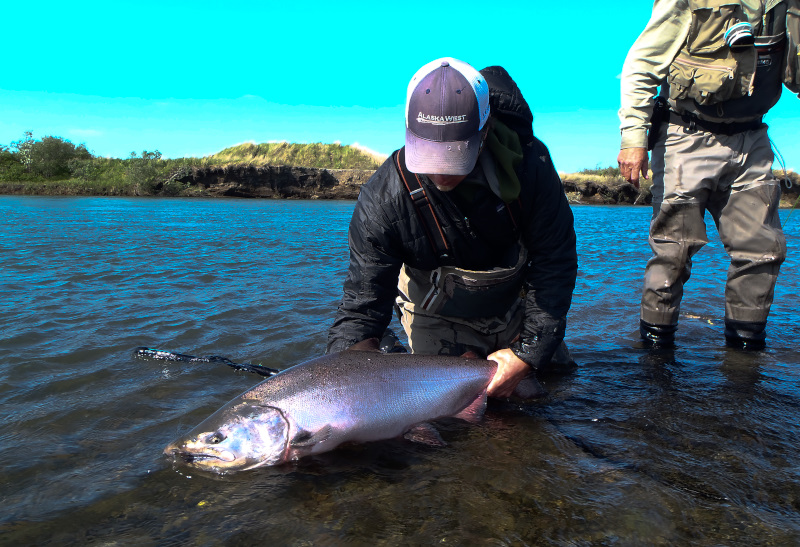 king salmon singles dating site Plentyoffish dating forums are a place to meet singles and get dating advice or share dating experiences i have met a couple of women from another dating site. king salmon singles dating site Plentyoffish dating forums are a place to meet singles and get dating advice or share dating experiences i have met a couple of women from another dating site.